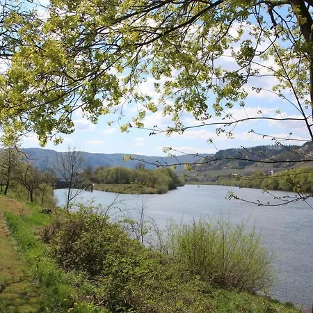 Moselle Terrace Slate * Detzem